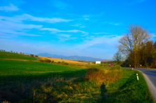 Cesta II. triedy 519