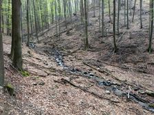 Potok