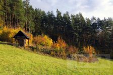 Na lúke medzi Filovcami a Bezným