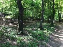 Nová modrá značka