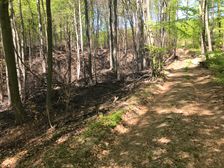 Les po požiari 7.4.2020