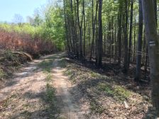 Les po požiari 7.4.2020