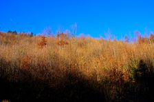 Rúbanisko, omladina