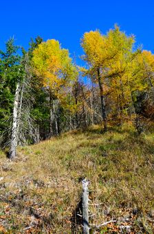 Prudký jesenný výstup