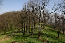 Vysoká