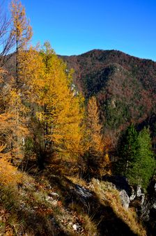 Prudký jesenný výstup