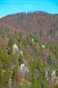 Veľký Rakytov 1119m