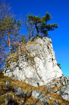 Malá Skalná, bralo