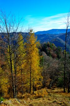 Prudký jesenný výstup