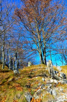 Prudký jesenný výstup