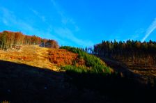 Rúbanisko, omladina