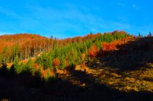 Harmanovo 986m