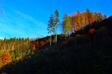 Rúbanisko, omladina