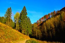 Rúbanisko, omladina