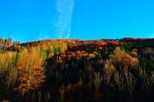 Rúbanisko, omladina