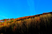 Rúbanisko, omladina