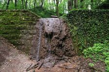 Haluzická tiesňava