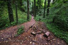 Haluzická tiesňava