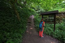 Haluzická tiesňava