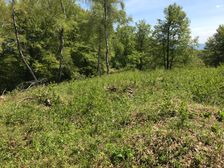 Na vrchole vrchu Skorý (857 mn.n.m)