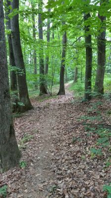 Poľovnícky trail