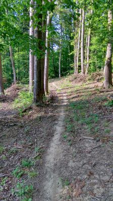 Poľovnícky trail