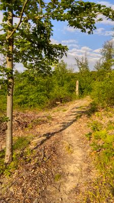 Poľovnícky trail