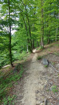 Poľovnícky trail