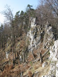 Ostrá Malenica - Pod vrcholom