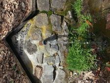 Prameň sv. František