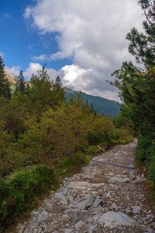 V doline