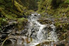 po zelenej z Iľanovského sedla do Demänovskej doliny