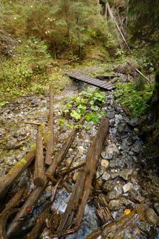 po zelenej z Iľanovského sedla do Demänovskej doliny