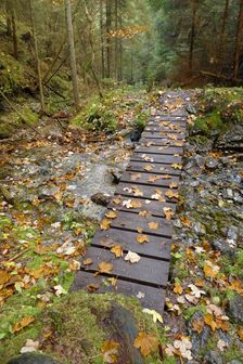 po zelenej z Iľanovského sedla do Demänovskej doliny