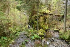 po zelenej z Iľanovského sedla do Demänovskej doliny