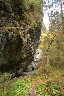 po zelenej z Iľanovského sedla do Demänovskej doliny
