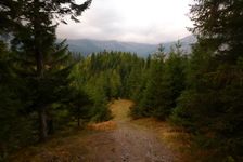 po žltej na Ostredok