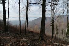 po žltej na Čiernu horu