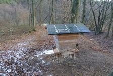 krmelec medzi Bzenovom a Rokycanmi, smer Cemjata