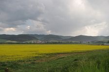 Pri Olcnave