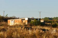 Vtáčkovce