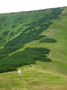 Nízke Tatry