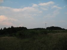 Javor