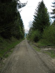 Cesta k Slavošovskému tunelu po nedokončenej trati