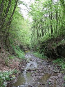 Slavošovský tunel