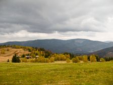 Krátke