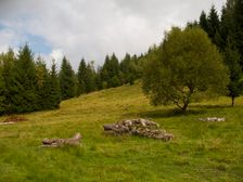 Zbojská