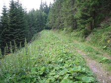 Nízke Tatry, cesta na Magurku