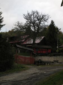 Krokava