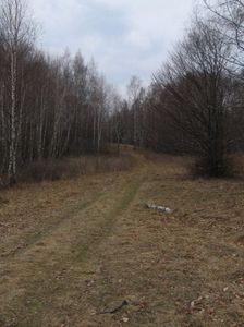 Ružínok